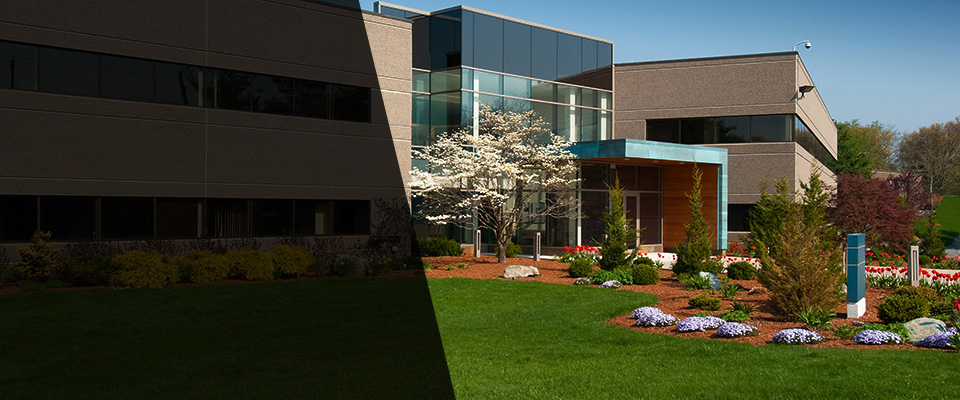 Dalzell Landscapers