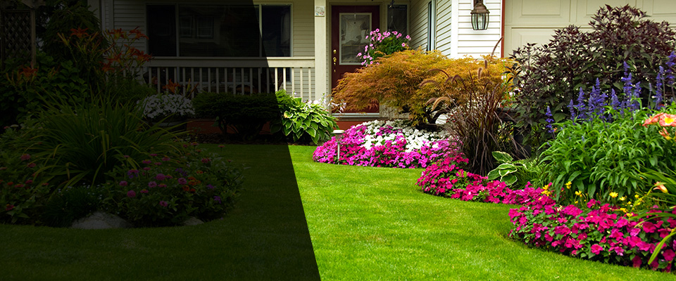 Dalzell Landscapers