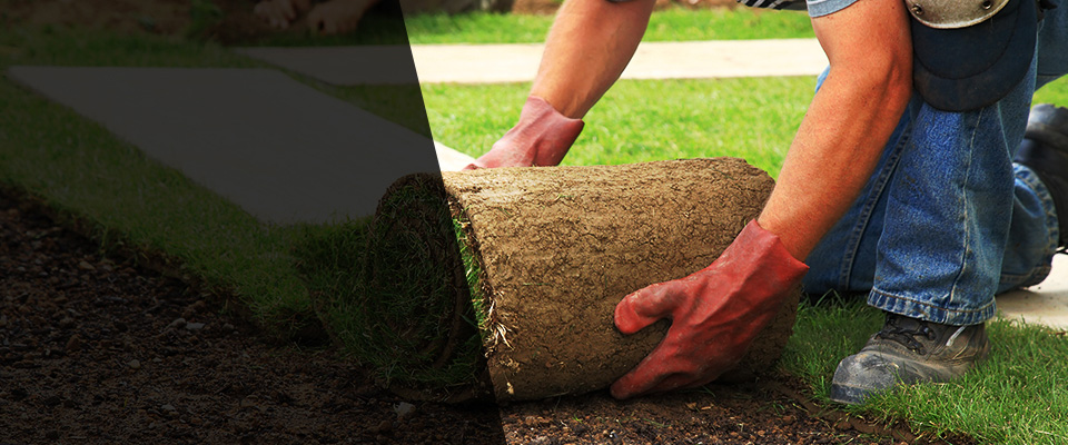 Dalzell Landscapers